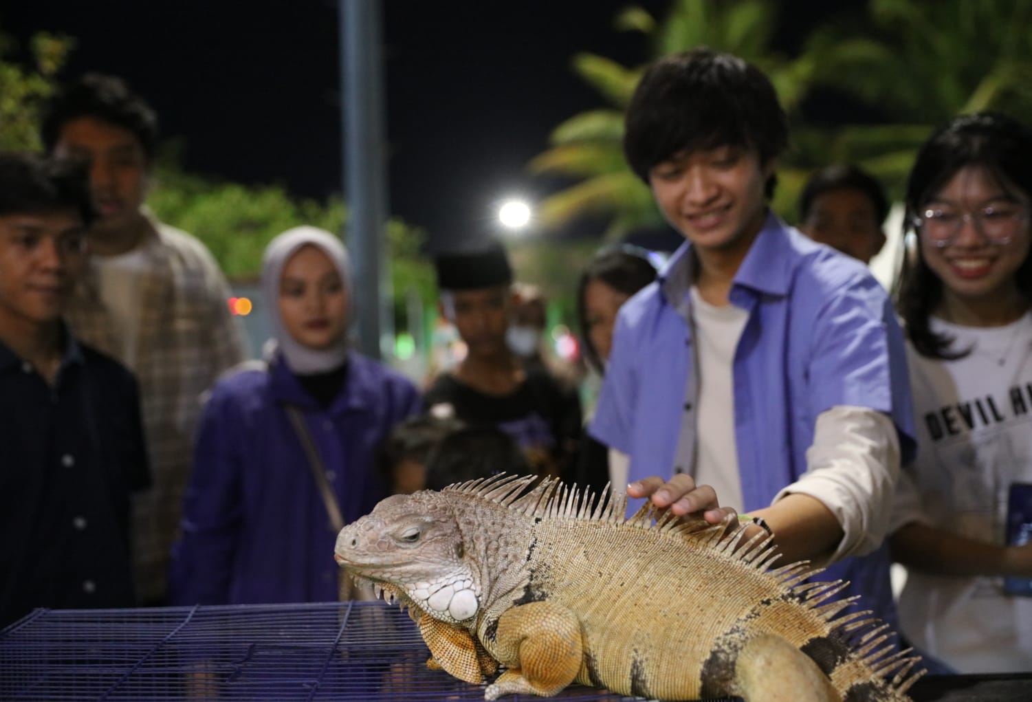 Makassar F8 Sajikan Pengalaman Belajar tentang Fauna