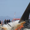 Tragedi Kecelakaan Pesawat Jeju Air