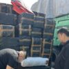Bea Cukai Makassar Gagalkan Peredaran 56 Ribu Batang Rokok Ilegal di Pelabuhan Makassar