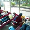 Peringati Bulan K3 2026, Pelindo Group Wilayah Makassar Gelar Donor Darah